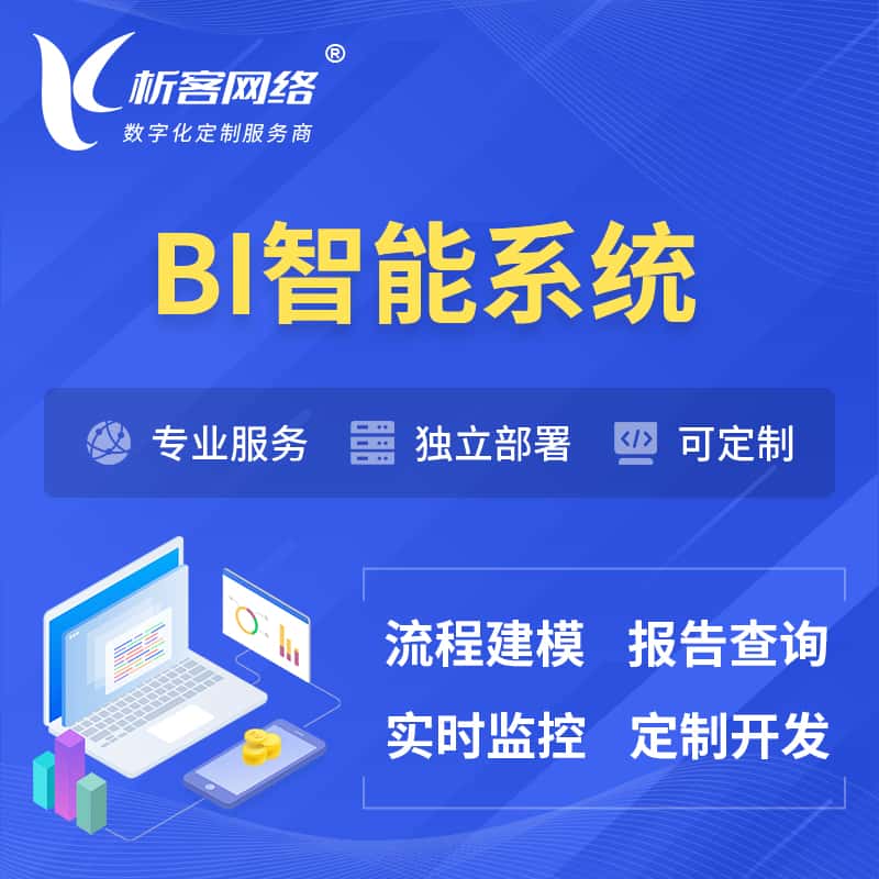 湖北BI智能系统 | BI数据可视化